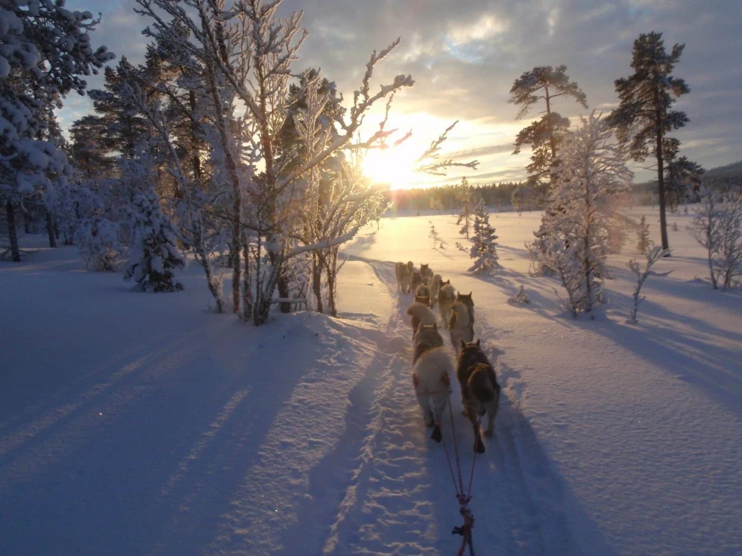 Sunset over a snow-covered expanse
